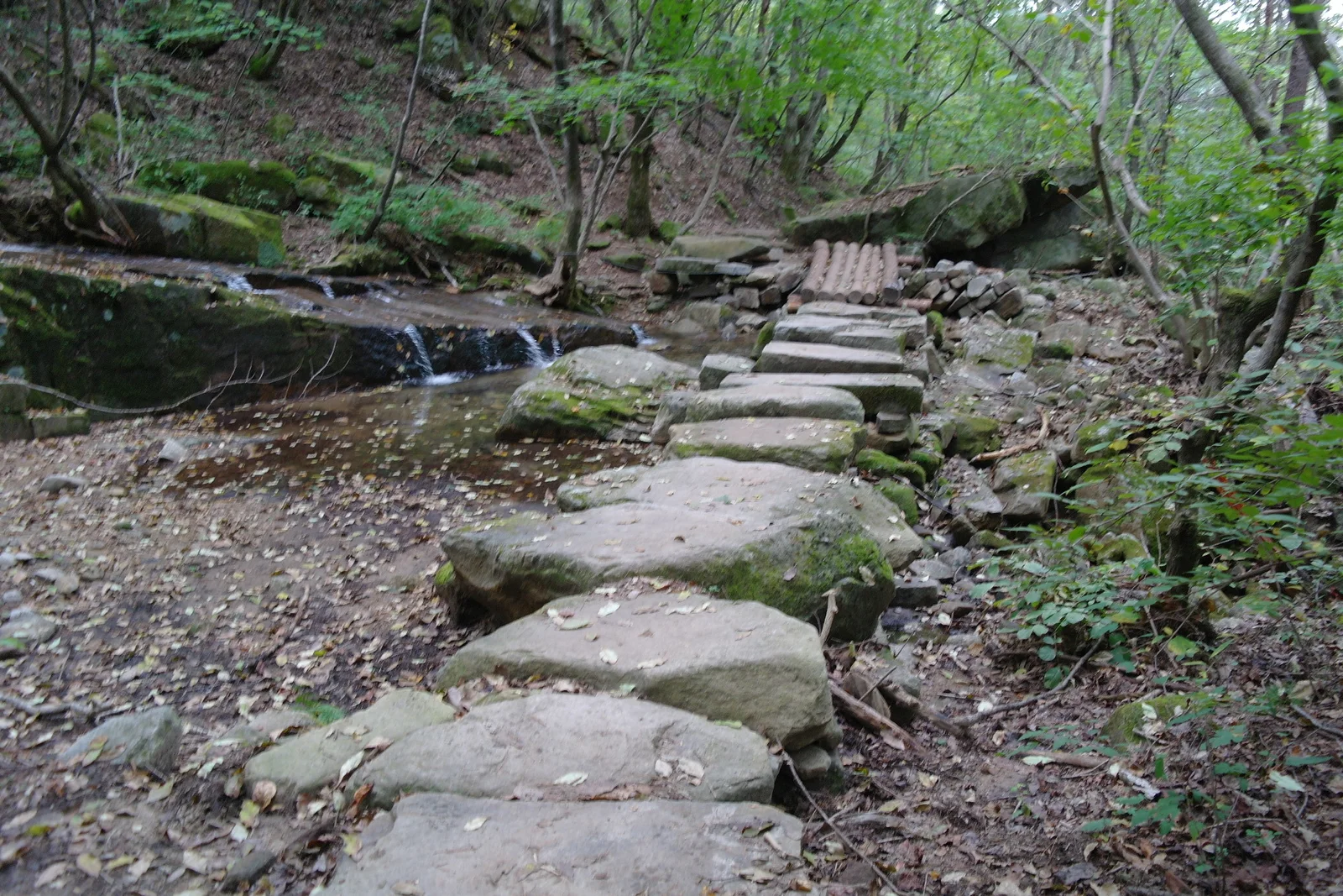 Stepping stones and a log bridge on the Jadarak-gil Eoreumgol Ecological Trail in Neunggyeong Valley, Jecheon